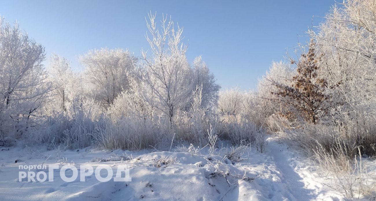 В Марий Эл площадь в 150 футбольных полей заросла сорняками