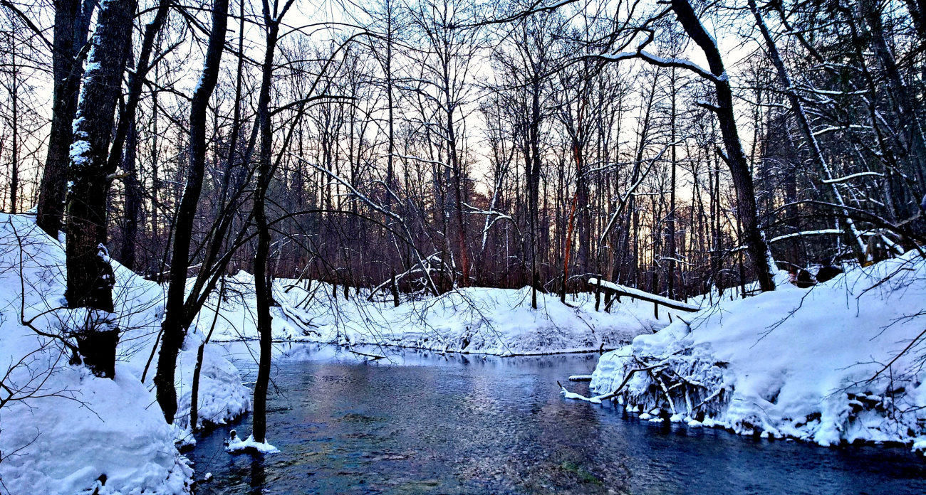 Кипящие озера, родники силы и целебные источники: где в Марий Эл восстановить здоровье на лоне природы
