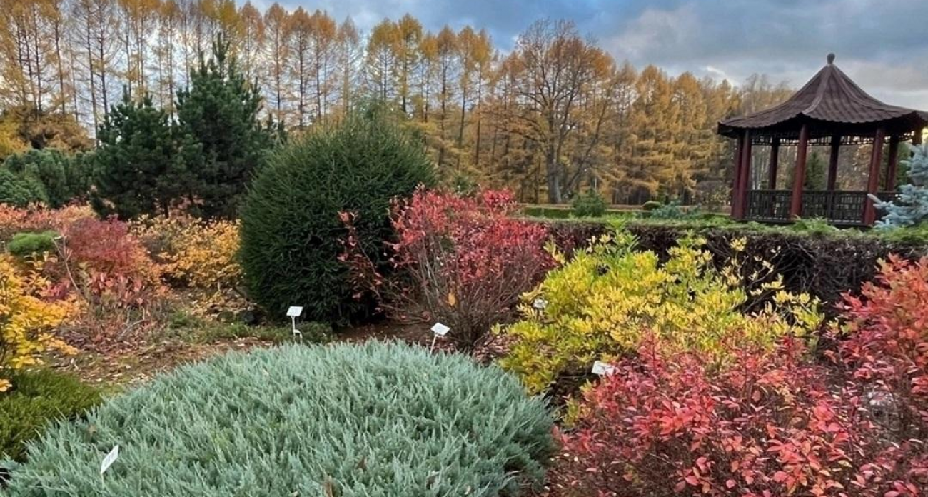 Ботанический сад Йошкар-Олы вошёл в элитный список 51 особо ценного природного объекта России