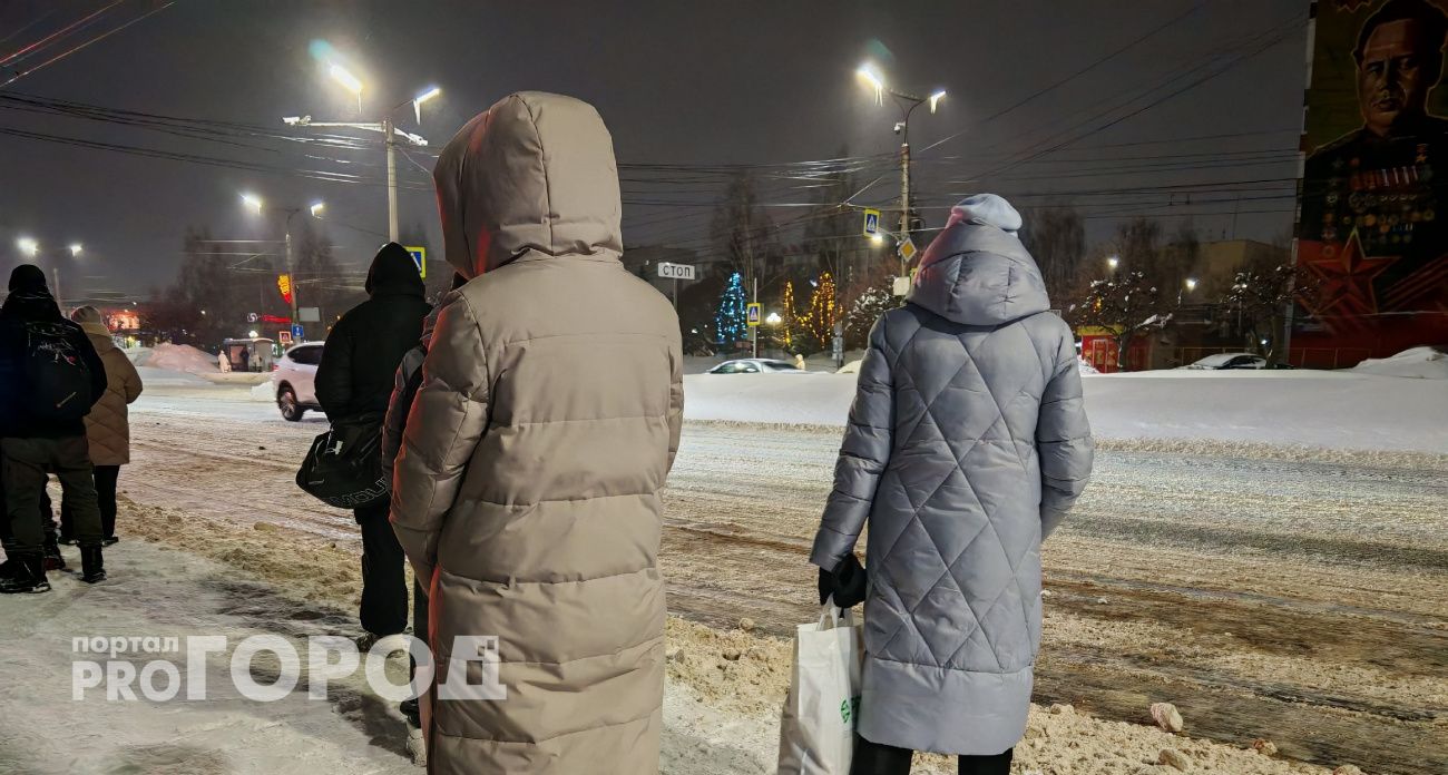 Марийская студентка скинула родительский миллион на неизвестную карту после "полицейского обыска по видеосвязи"