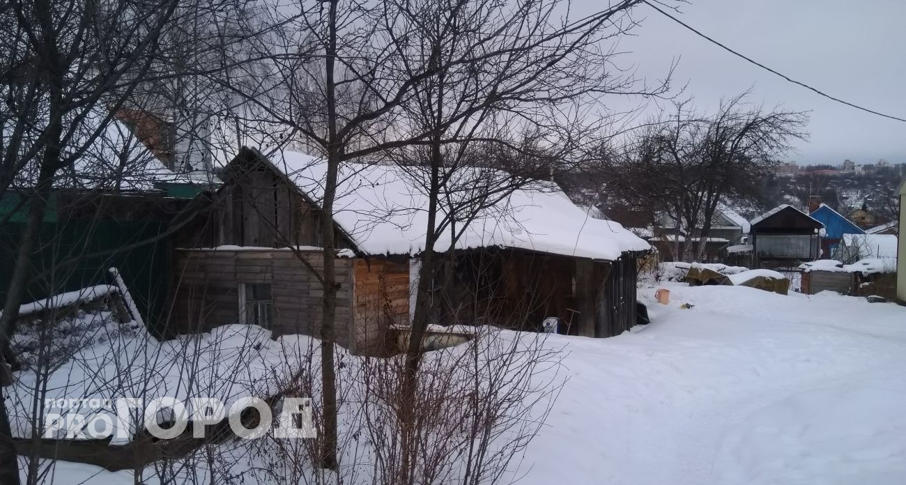 Жизнь на 30% дешевле: почему российские семьи массово переезжают жить на дачу и не жалеют о городе