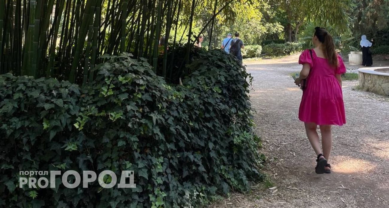 Люди грубые, еда невкусная, змеи и грязь: честный отзыв разочарованных туристов о поездке в Абхазию