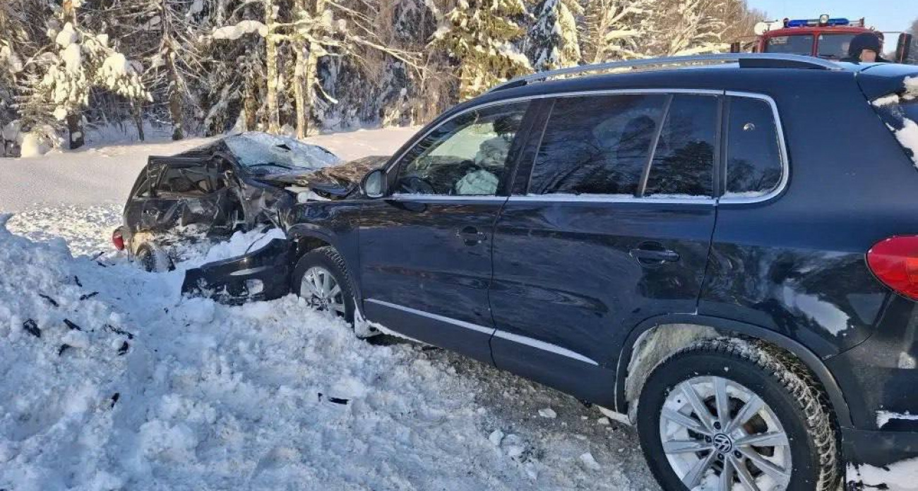 Двух взрослых и ребенка увезли в больницу с места дневного ДТП в Сернурском районе