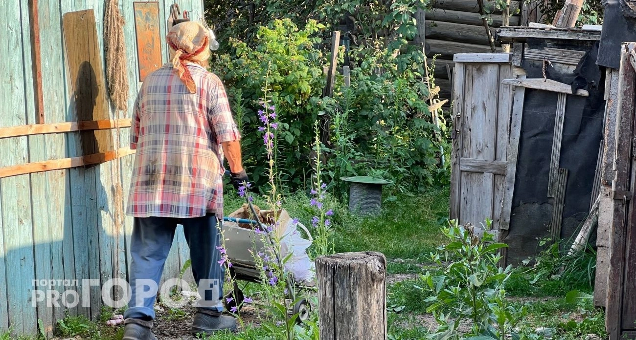 Обрежут провода и не спросят: дачникам строго запретили пользоваться электричеством