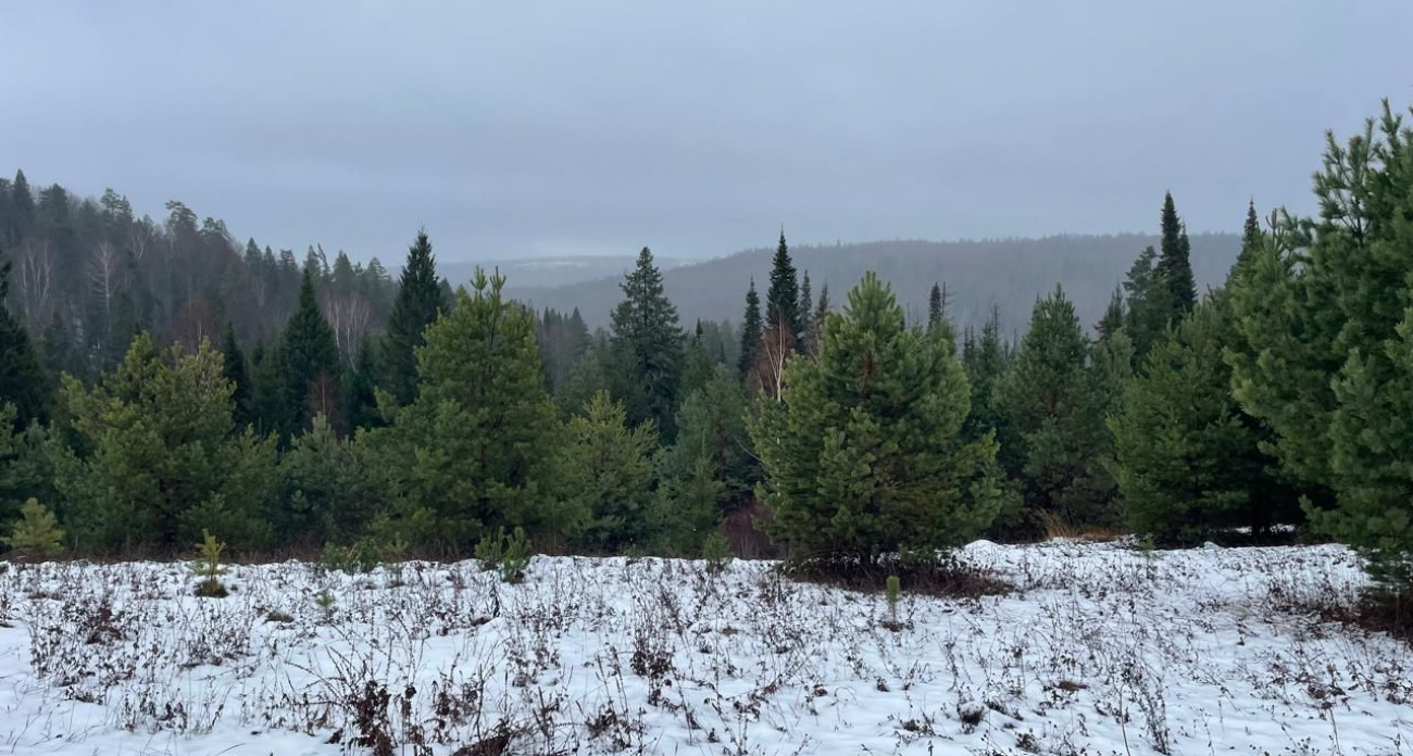 Куженерского района в Марий Эл больше не будет