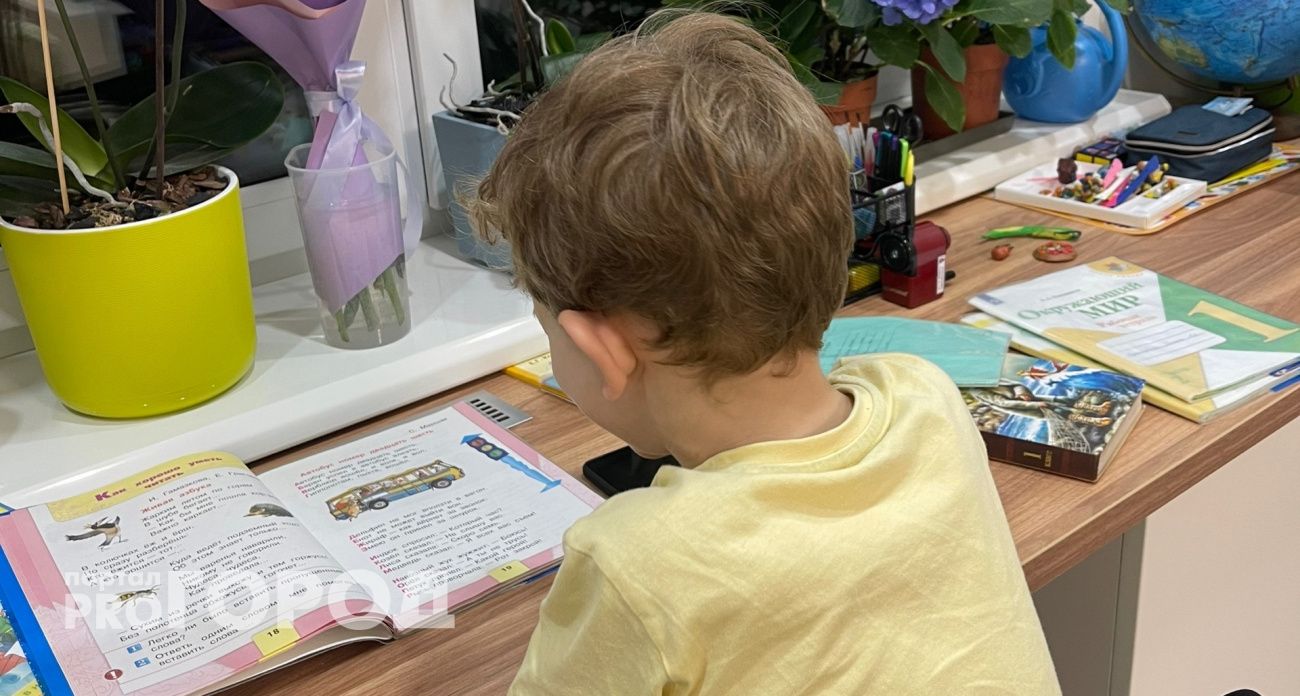 Марийскую школу перевели на удаленку, чтобы восстановить погнутую снегопадом кровлю