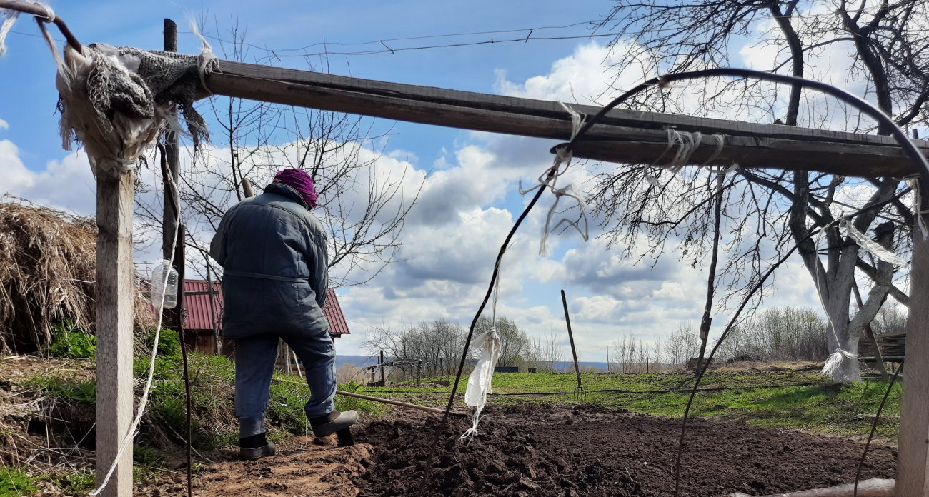 Не картофель и не морковь: что посадят опытные огородники вместо привычных овощей в 2026