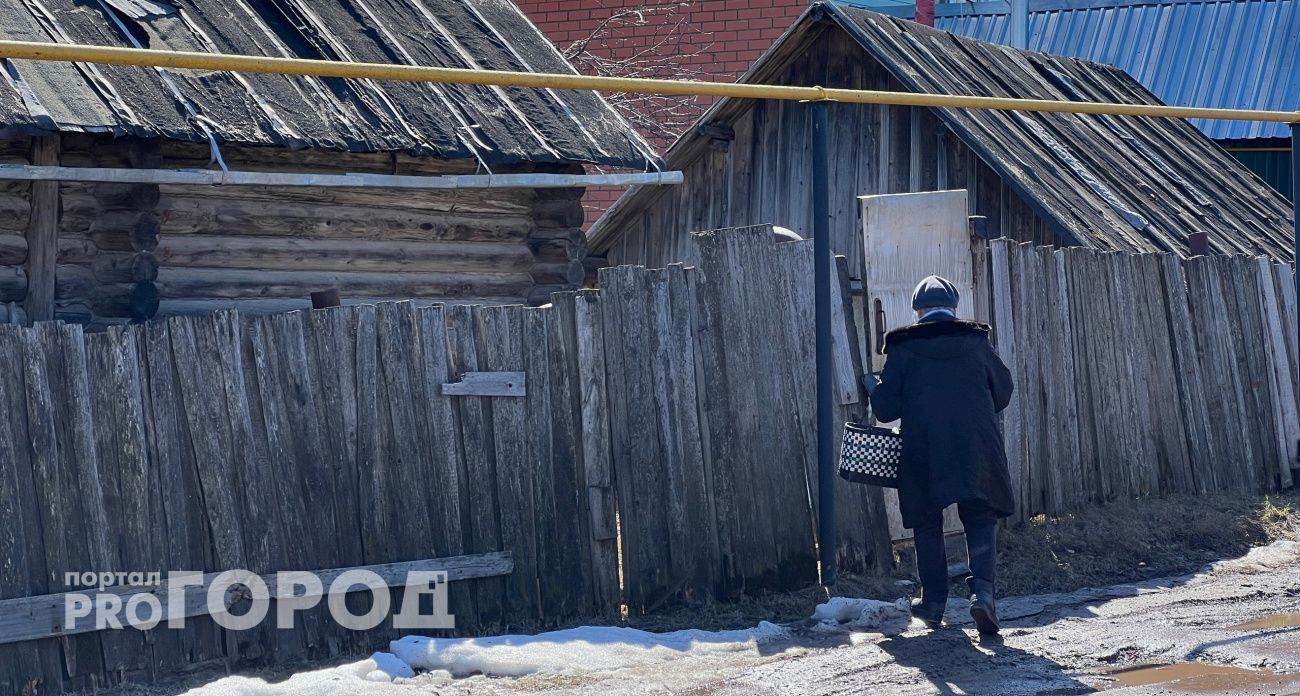 Оштрафуют и заберут участок за одно дерево: дачников ставят в жесткие рамки новым законом