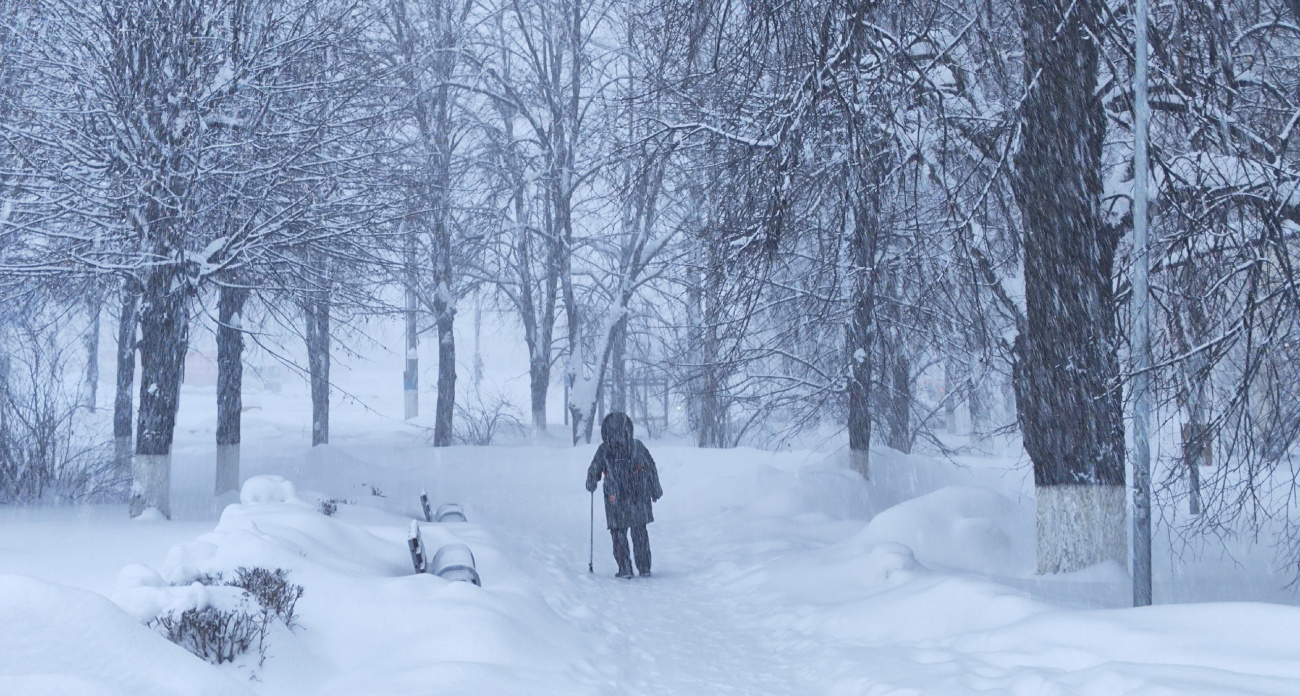 Вот почему советские люди жили дольше: диетолог раскрыл секрет здоровья наших бабушек