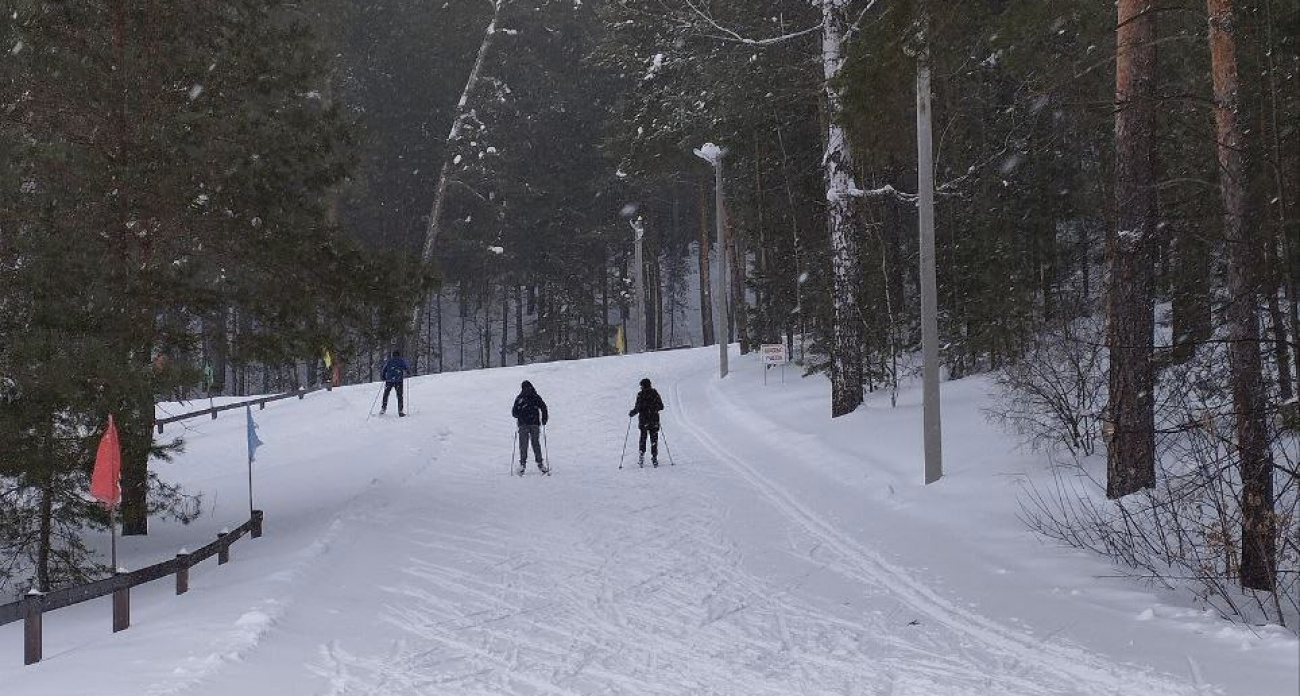 Лыжная трасса в Волжске вновь станет бесплатной для горожан