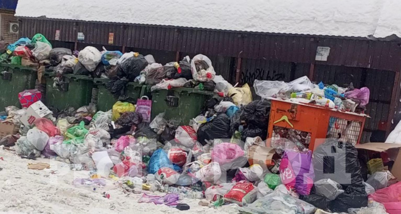 Систему вывоза мусора в Марий Эл признали устойчивой