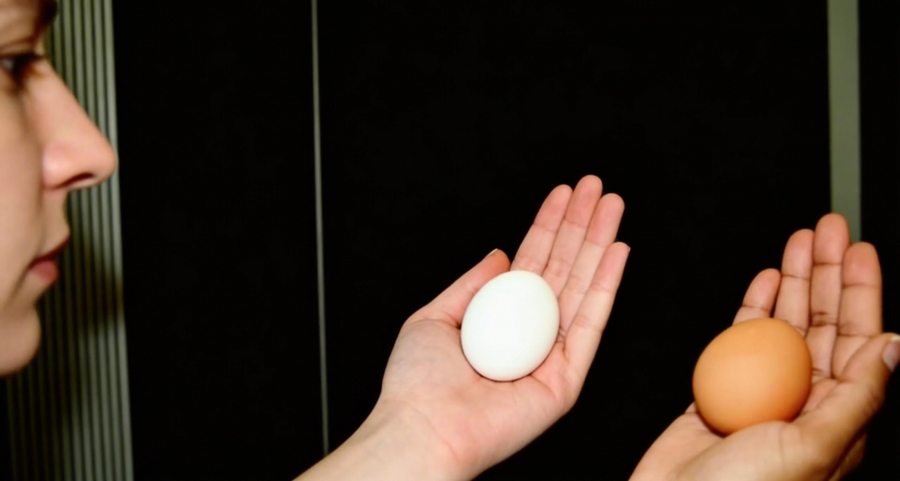 Выбираю только коричневые яйца: вот чем они гораздо лучше белых