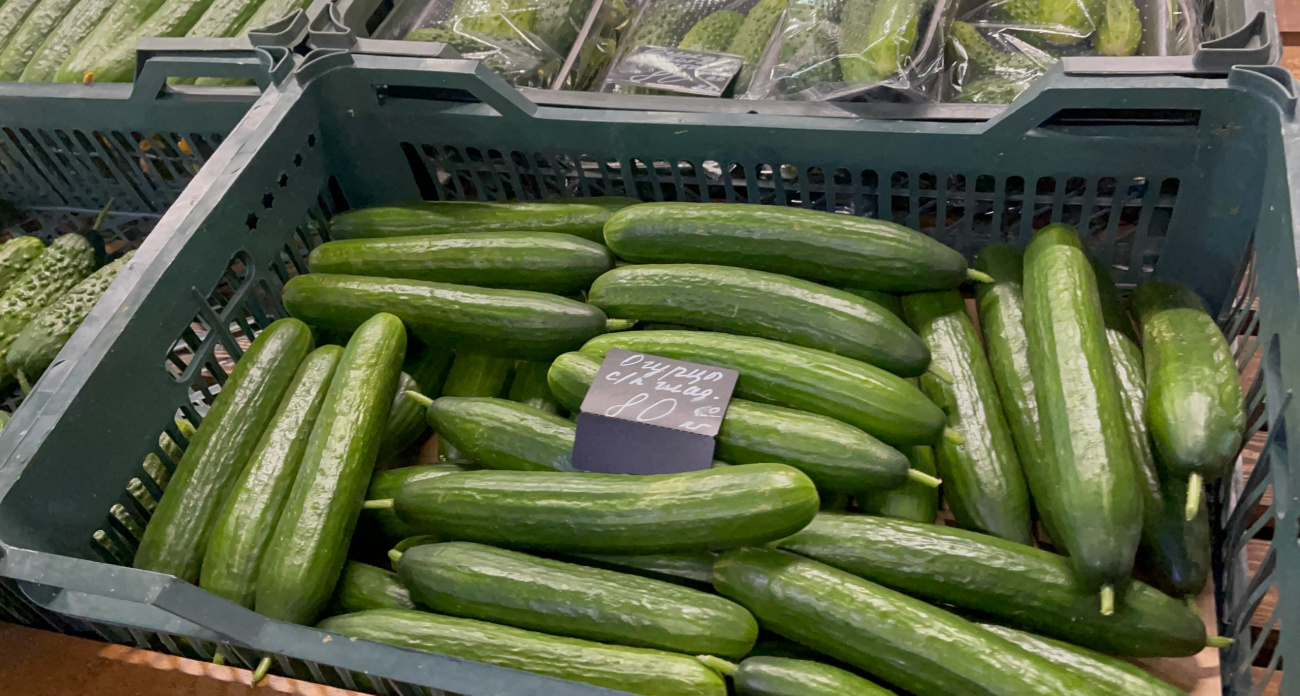 Не Пятерочка и не Магнит: где огурцы отдают почти даром — россияне ахнули, увидев ценники