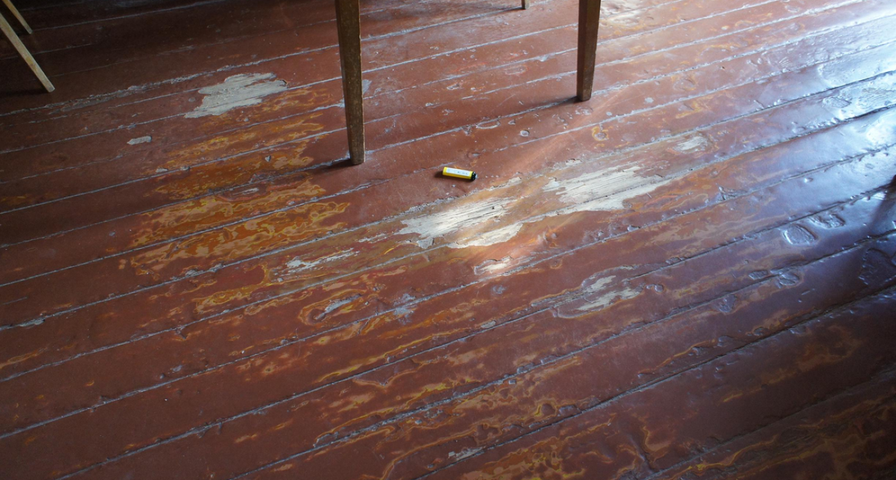 Дедушка всю жизнь мыл окна только газетой — попробовала его способ и забыла про разводы