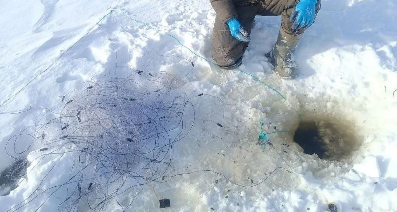 Пять марийских рыбаков остались без транспорта и сетей в ходе рейда рыбоохраны