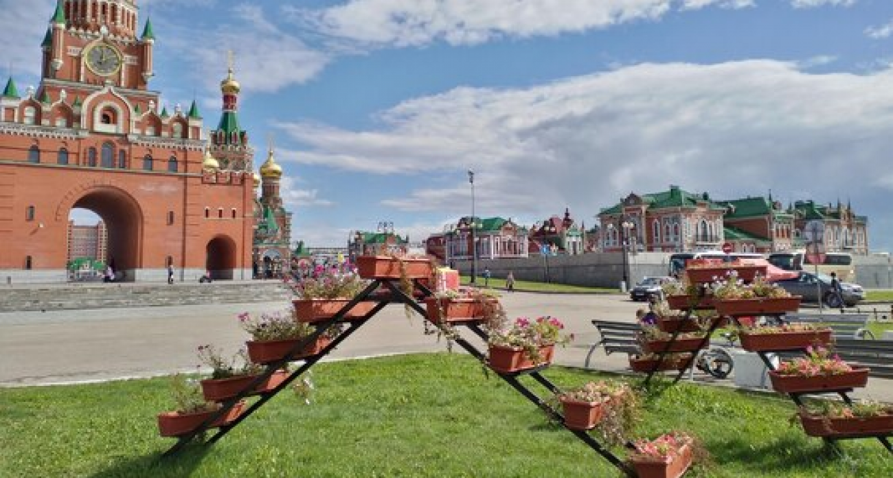 770 кассет под фитолампами: Йошкар-Ола готовит цветочный сюрприз к 9 мая