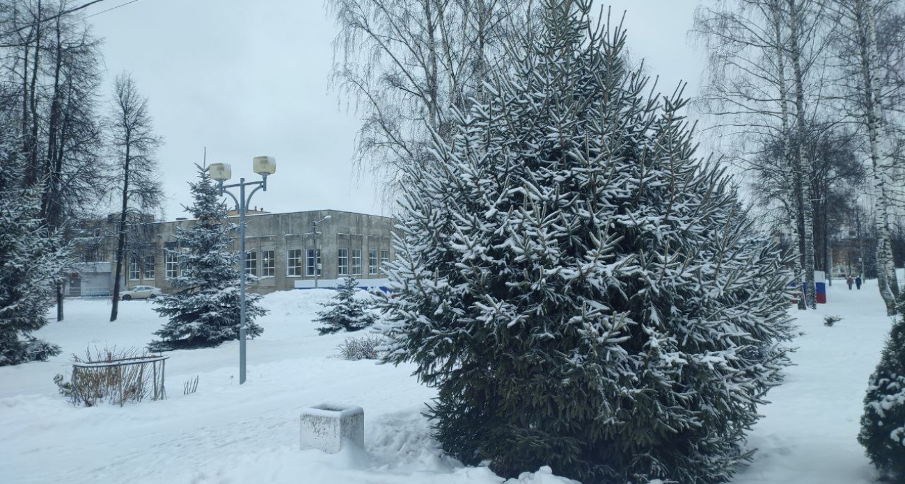 Мандариновый забег в женский праздник пройдет в йошкар-олинском Парке Победы