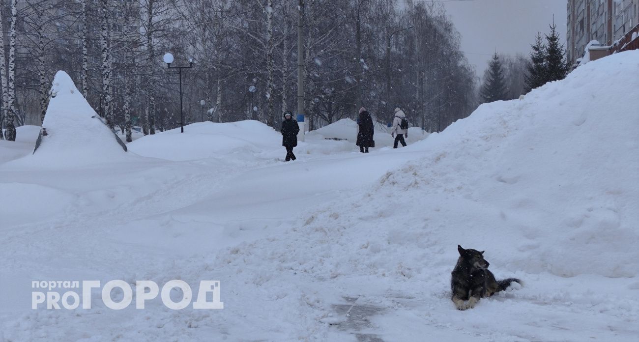 Холод ворвется без стука: россиян предупредили о мощном ледяном ударе — названы сроки