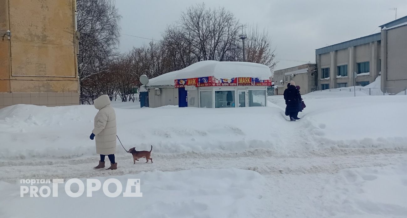 Сирены взвоют сегодня по всей Марий Эл: жителей просят не паниковать