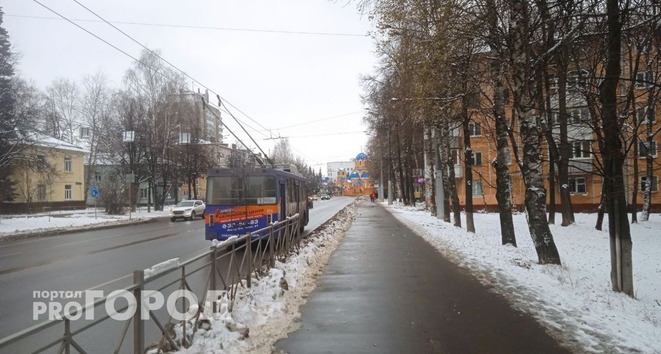 Зацеперов хотят жестко наказывать в Марий Эл: работают над законопроектом