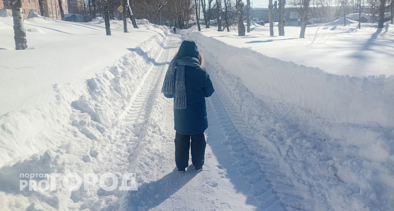 До -24 рухнет температура в Марий Эл в праздничные дни