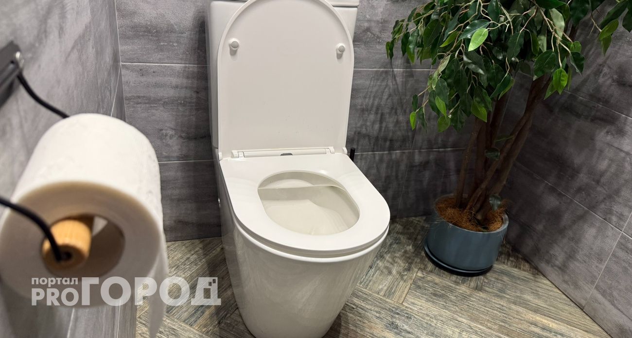 Ходить в туалет на унитаз больше не в моде: новый туалетный тренд скоро дойдет и до России