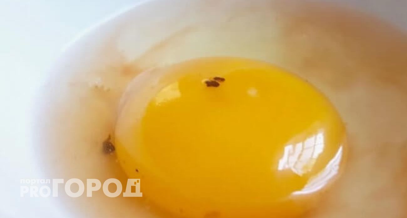 Темное пятно в яйце больше не испортит завтрак — вот что нужно знать каждой хозяйке