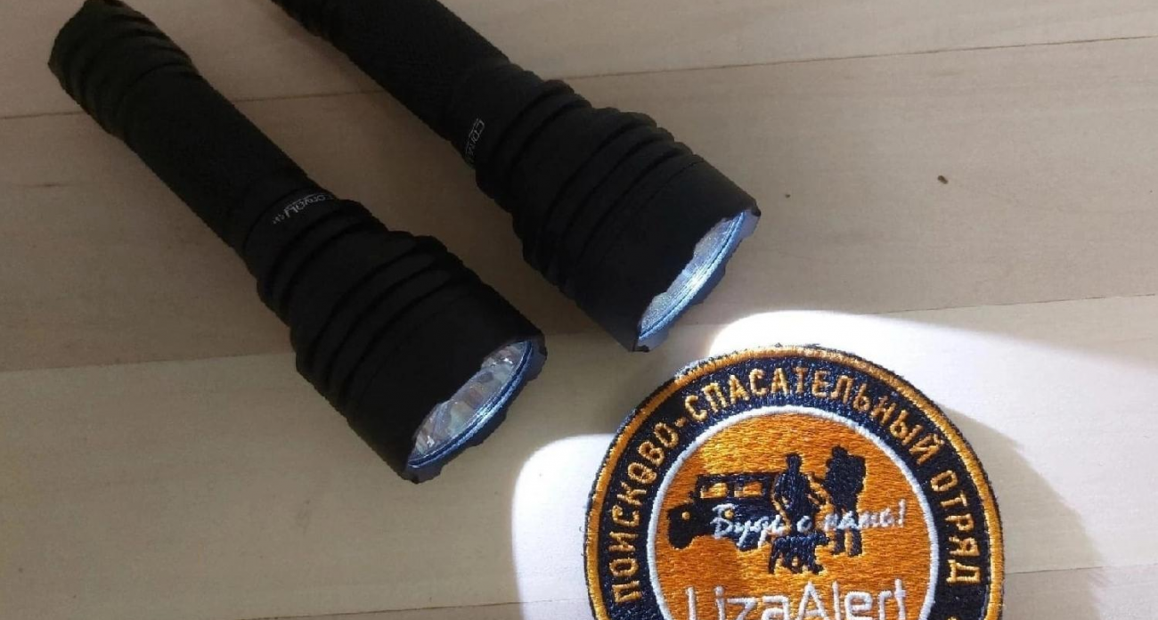 12 из 14 пропавших в Марий Эл нашли живыми