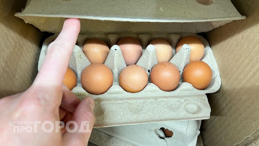 Картонные лотки от яиц больше не выкидываю превратила их в незаменимых помощников по хозяйству