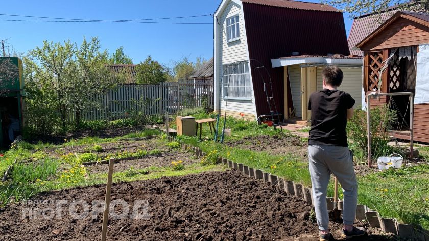 Открываем дачный сезон: лунно-посевной календарь для огородников на март, апрель и май 2026