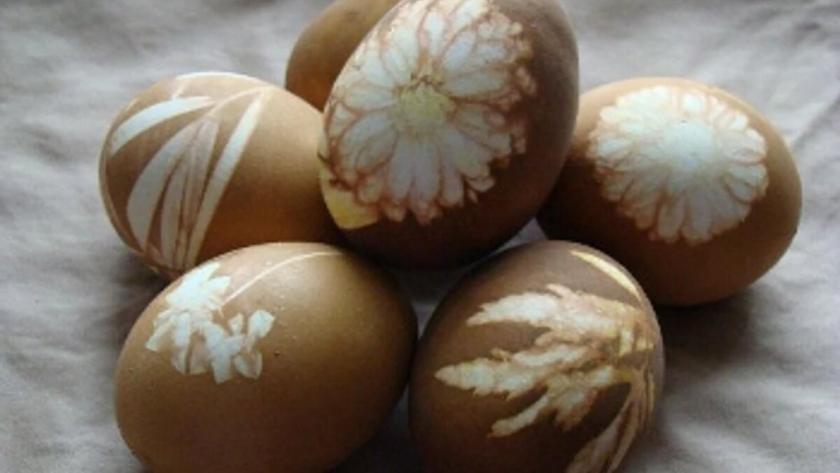Яйца на Пасху теперь крашу только кофе: красиво, стильно и натурально - всего 4 шага