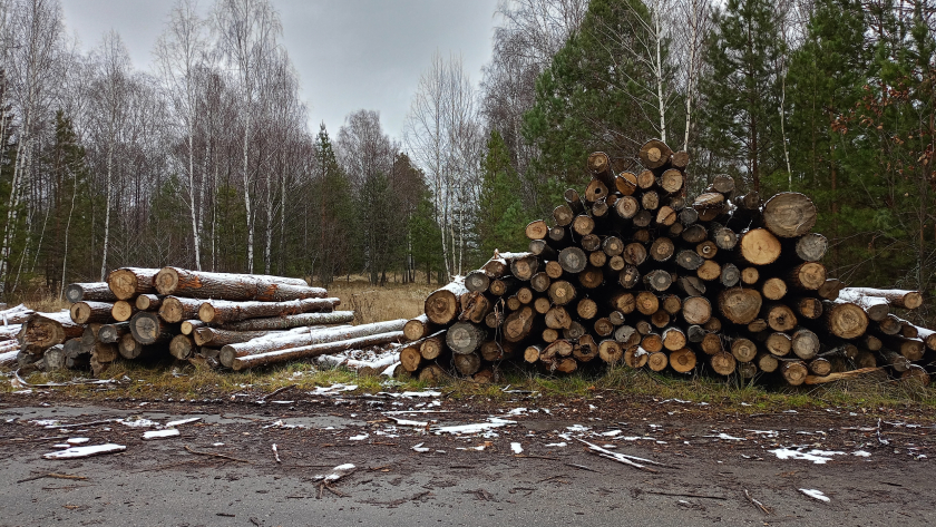 Вы продаете газ всему миру, а сами мерзнете: немец увидел российскую деревню и потерял дар речи