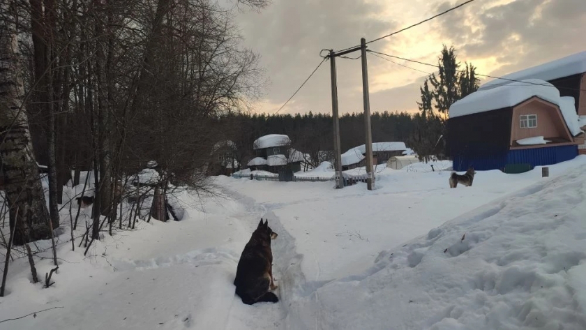В День дурака в Марий Эл резко потеплеет до 16 градусов