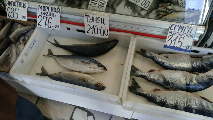 В этой рыбе находят 10-метровых червей: а мы едим ее сами и детей кормим