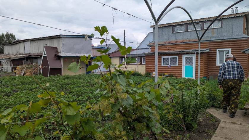 Получите урожай раньше соседей: 7 способов прогреть почву и сдвинуть сроки посадки  секреты опытных садоводов