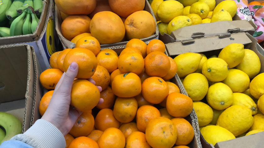 Скупила все лимоны в ближайшем магазине: незаменимое средство как дома, так и на грядках