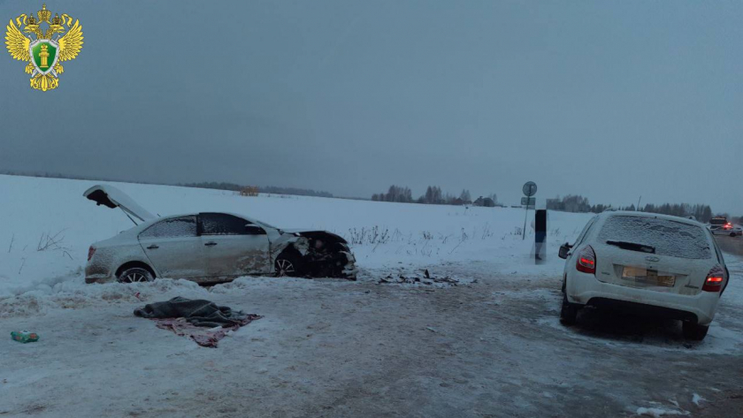 Суд наказал виновника смертельного ДТП в Марий Эл, в котором погибла его дочь
