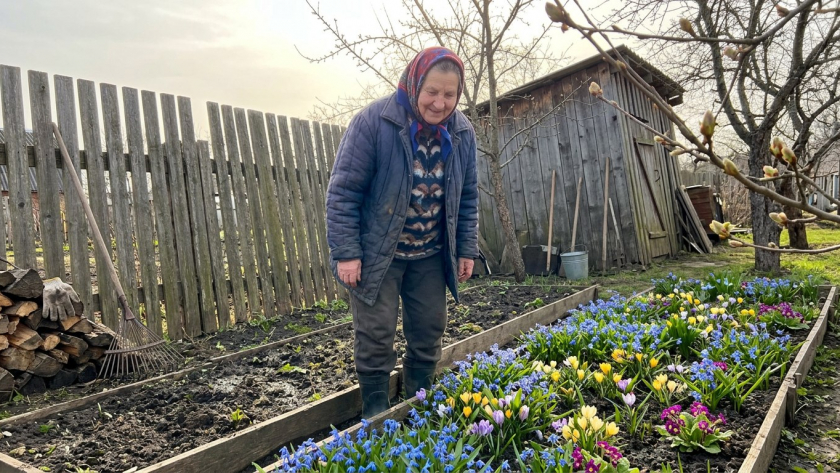 Это растение затмит цветным ковром все сорняки: даже опытные дачники забыли об этом цветке