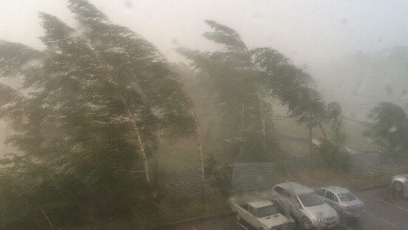 Сильный дождь и ветер до 20 м/с накроет Марий Эл этой ночью