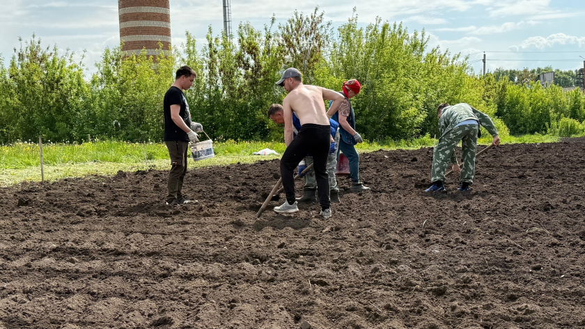 Китайские фермеры уже давно используют эти методы, а мы все по-старинке: на их огородах всё растёт в разы быстрее и вот почему