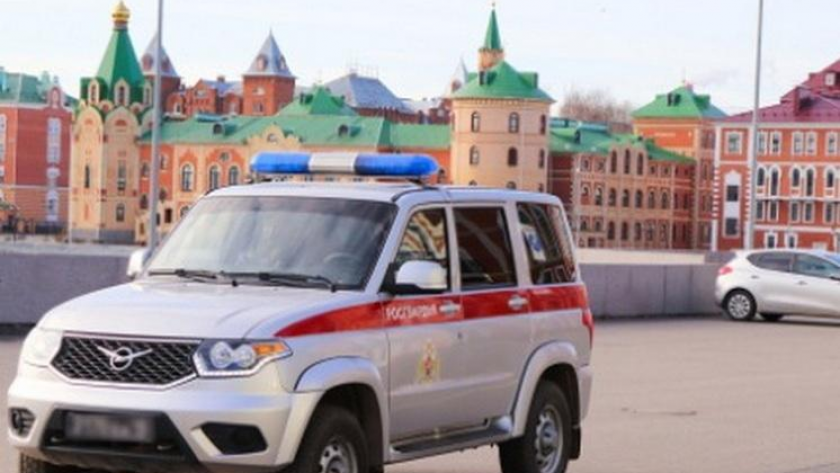 Росгвардия в Марий Эл за месяц задержала 38 нарушителей и выехала на 195 вызовов