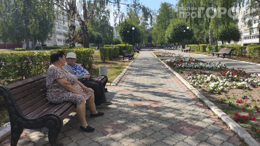 Бабушка по соседству посадила цветы под окном и получила штраф: эксперт объяснил, почему ваша клумба может дорого обойтись