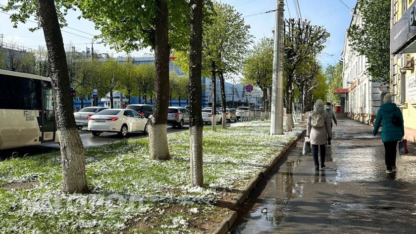 Заморозки вернутся внезапно: черемуховые холода накроют Центральную Россию - точные даты