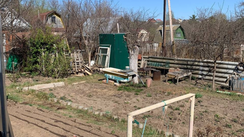 Не тратьте деньги на чистку туалета: эти 10 растений сделают всё сами  сажайте прямо сейчас