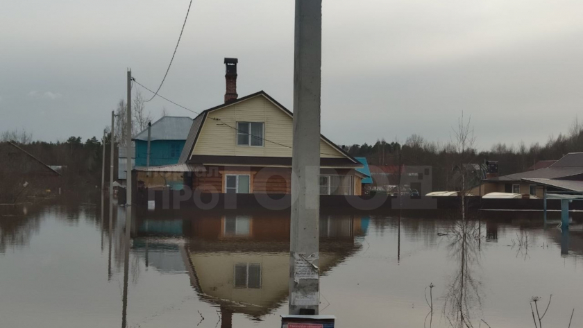 Затопленных жителей Звениговского района временно разместят бесплатно