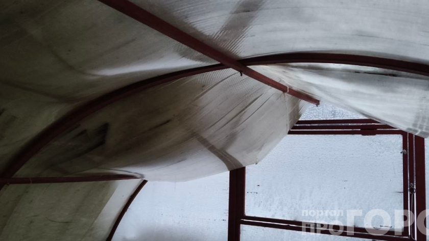 Этот хлам менять каждые 3 года: грязь, трещины и плесень  что не так с дешёвым поликарбонатом