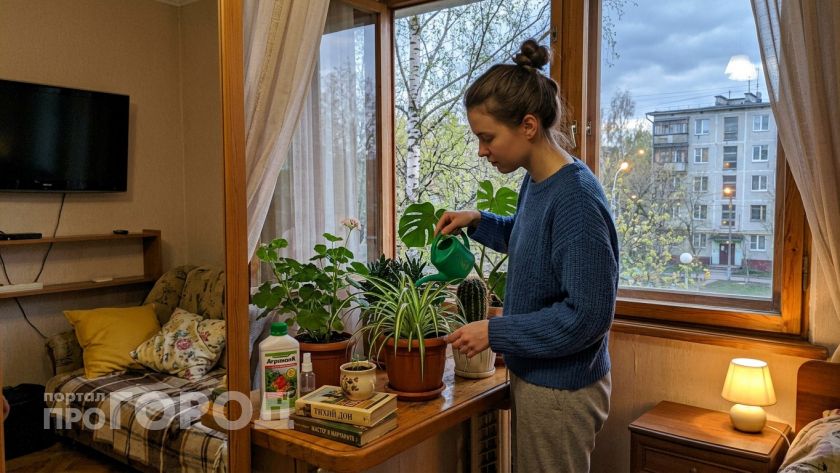 Этот цветок притягивает в дом счастье и богатство: приметы, в которые верят даже скептики - и не зря