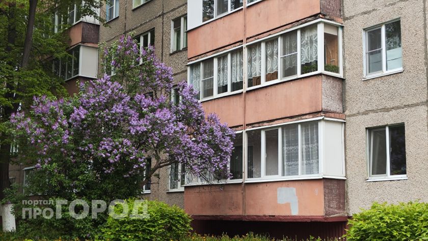 Заморозит позже, чем обычно: когда в Центральную Россию придут черемуховые холода: точная дата