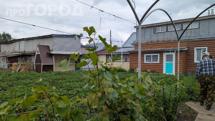 Дачный унитаз уже никто не ставит: 3 способа сделать септик своими руками без вызова ассенизаторов и лишних затрат