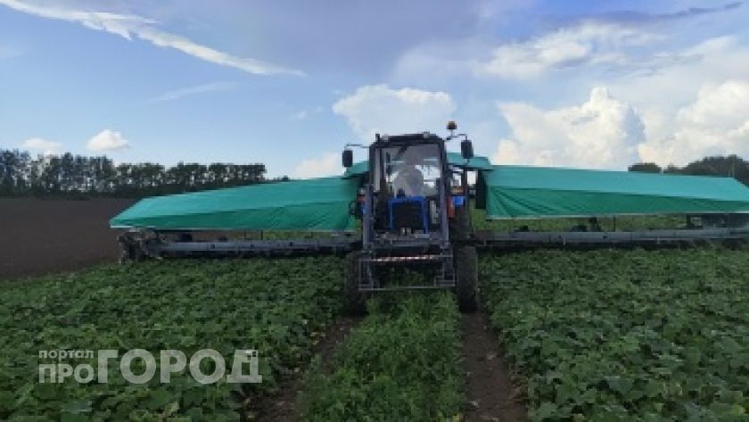 Земля зовет: вакансии в сельском хозяйстве в Марий Эл с зарплатами до 150 тысяч рублей